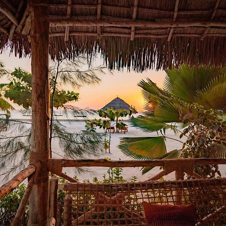 ホテル Joy Of Zanzibar Michamvi エクステリア 写真